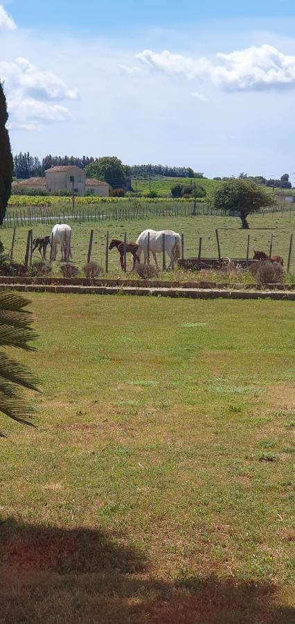 Les Bonbonnettes Bed and Breakfast Le Cailar Buitenkant foto