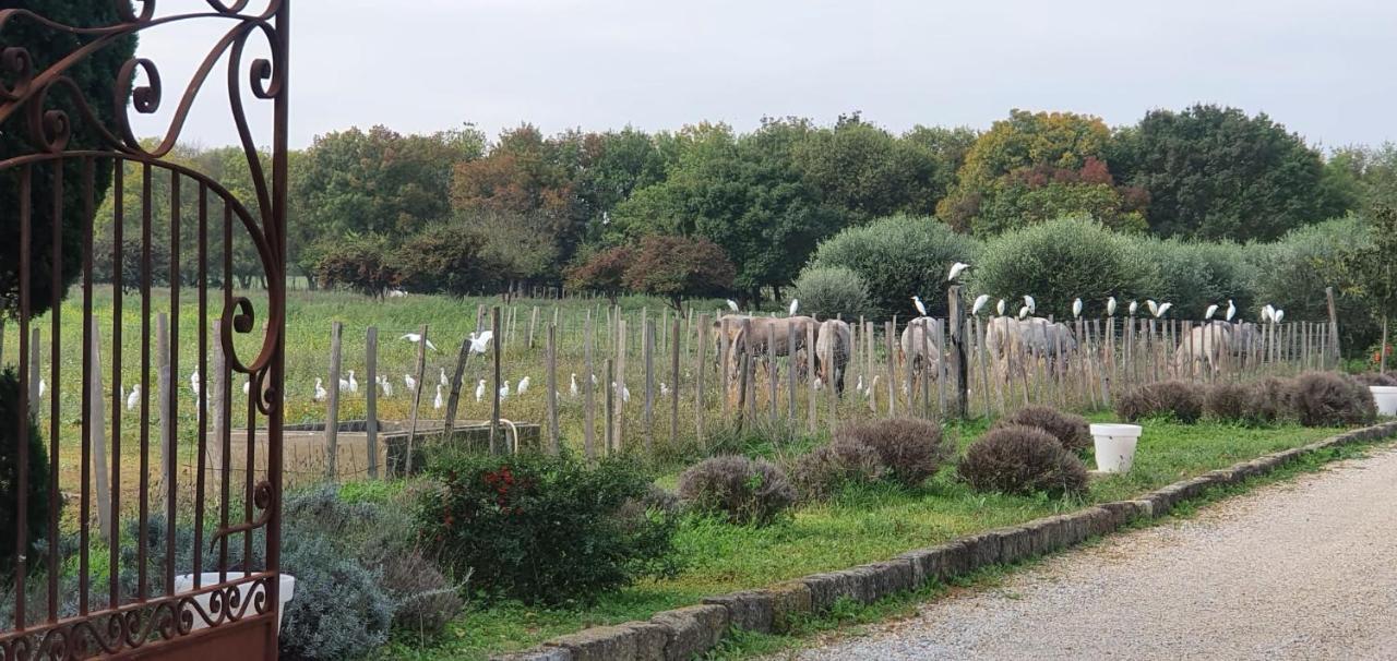 Les Bonbonnettes Bed and Breakfast Le Cailar Buitenkant foto